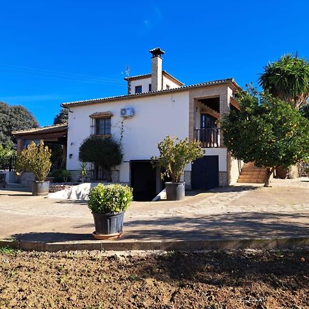 Setenil De Las Bodegas Casa Albarracinヴィラ エクステリア 写真