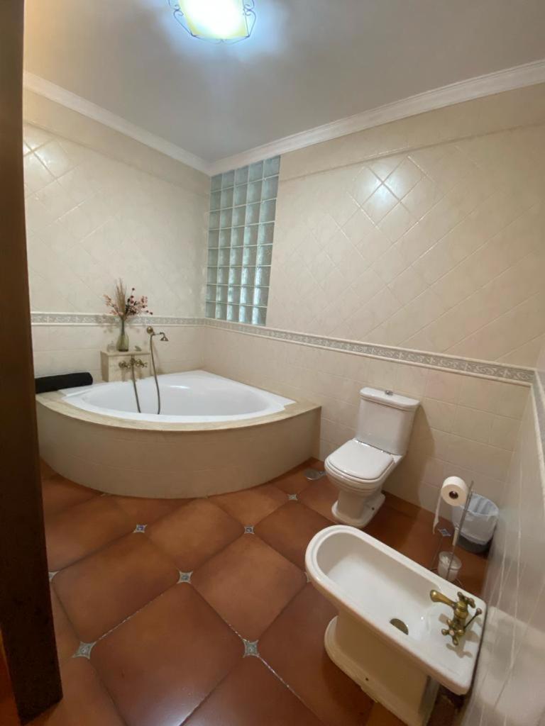 Setenil De Las Bodegas Casa Albarracinヴィラ エクステリア 写真